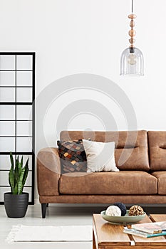 Lamp above brown leather sofa in living room with plant and wooden table. Real photo