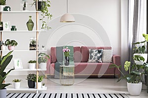 Lamp above table with flowers in front of red sofa in white living room interior with plants. Real photo