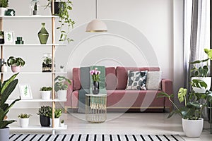 Lamp above table with flowers in front of red sofa in white living room interior with plants. Real photo photo