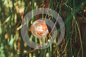 Lamp accesses in nature