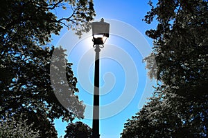 Lamp at avenham park