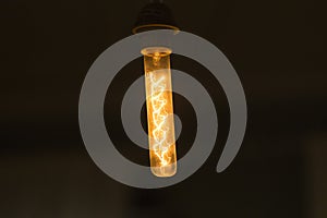 Filament of a lighted electric light bulb