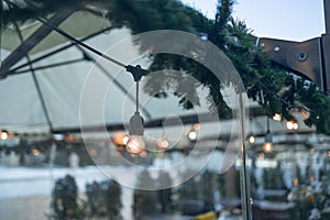 Lamp garland of light bulbs on a tree branch among the leaves, illuminate night scene. Decorative Outdoor Street