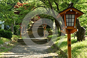 Lamp in japanese style with walk way and maple tree