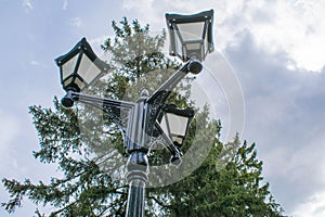 Lamp on the lawn In the garden with shrubs and lawns