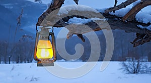 lamp lit on a branch in winter