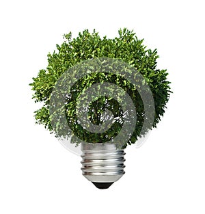 Lamp made â€‹â€‹of green tree. Ecology conception