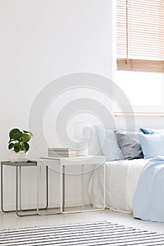 Lamp and plant on table next to bed with blue pillows in minimal