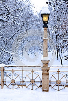 Lamp post covered by snow in park