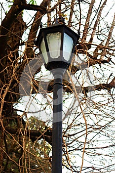 Lamp post at Darjeeling Mall
