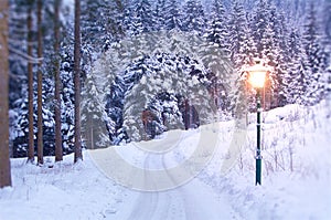 Lamp Post in Winter