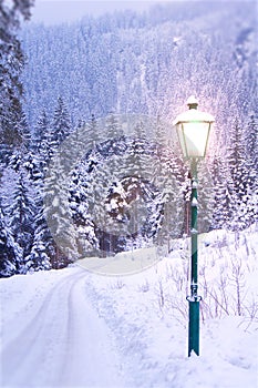 Lamp Post in Winter photo