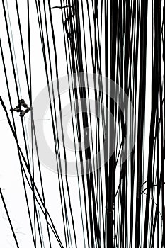 Lamp post and wire to creative for design and decoration isolate