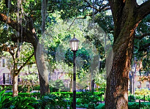 Lamp in Savannah Square