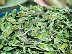 Lamp shell or Tongue Shell or Lingula anatina in the market. Local sea animal in south of Thailand. Perspective unique delicious