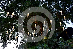 Lamp on the tree twilight time