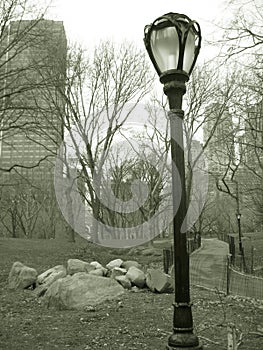 Lampost in central park, nyc