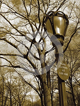 Lampost, sign, trees