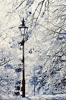 Lamppost