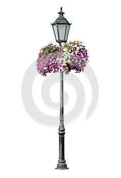 Lamppost with hanging flowers, isolated