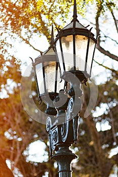 Lamppost photo