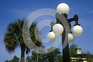 Lampposts with palm trees in background, Charleston, SC