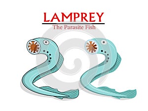 Lamprey , Parasite Fish in vector cartoon design