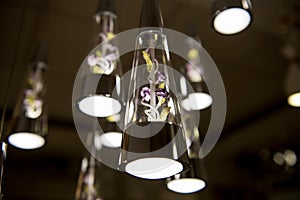 Lamps similar to a jug hanging on the ceiling