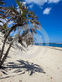 Lamu beach, Kenya