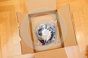 LAN cable in cardboard box