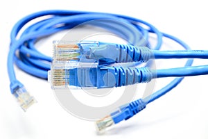 LAN Cable connect to Network Device