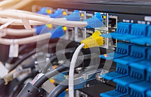 Lan cable connect to network switch for internet or ethernet