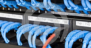 LAN Cable Connected to switch