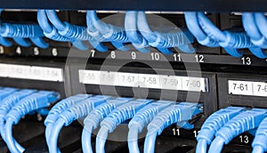 LAN Cable Connected to switch