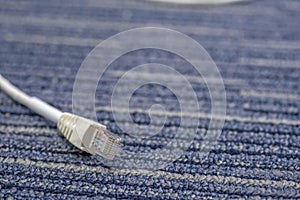 LAN cable or Ethernet cable rj45 plugins on carpet photo