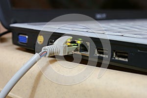 LAN cable plugged to a laptop.