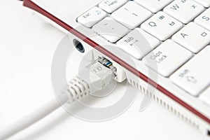 Lan cable on white background