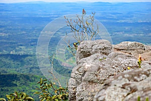 Lan Hin Pum (natural phenomenon) at Phu Hin Rong Kla national pa