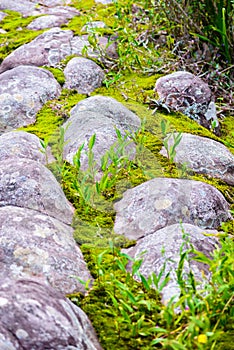 Lan Hin Pum (natural phenomenon) at Phu Hin Rong Kla national pa