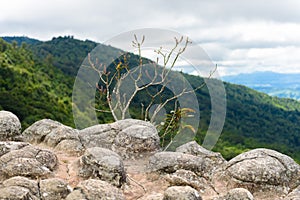 Lan Hin Pum (natural phenomenon) at Phu Hin Rong Kla national pa