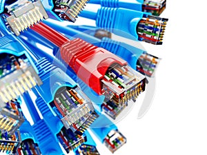 LAN network connection Ethernet RJ45 cables. Choise of provider