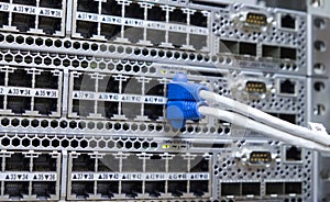 Lan utp cable plug in network switch