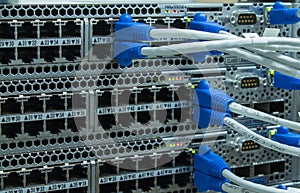 Lan utp cable plug in network switch