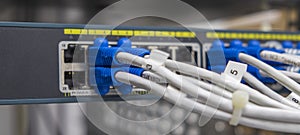 Lan utp cable plug in network switch