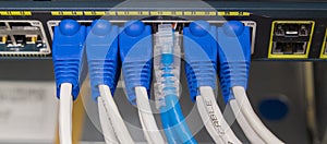 Lan utp cable plug in network switch