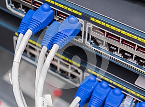 Lan utp cable plug in network switch