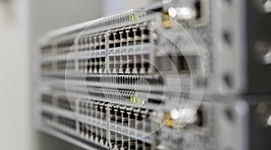 Lan utp cable plug in network switch