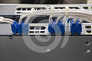 Lan utp cable plug in network switch