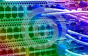 Lan utp cable plug in network switch