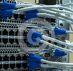 Lan utp cable plug in network switch